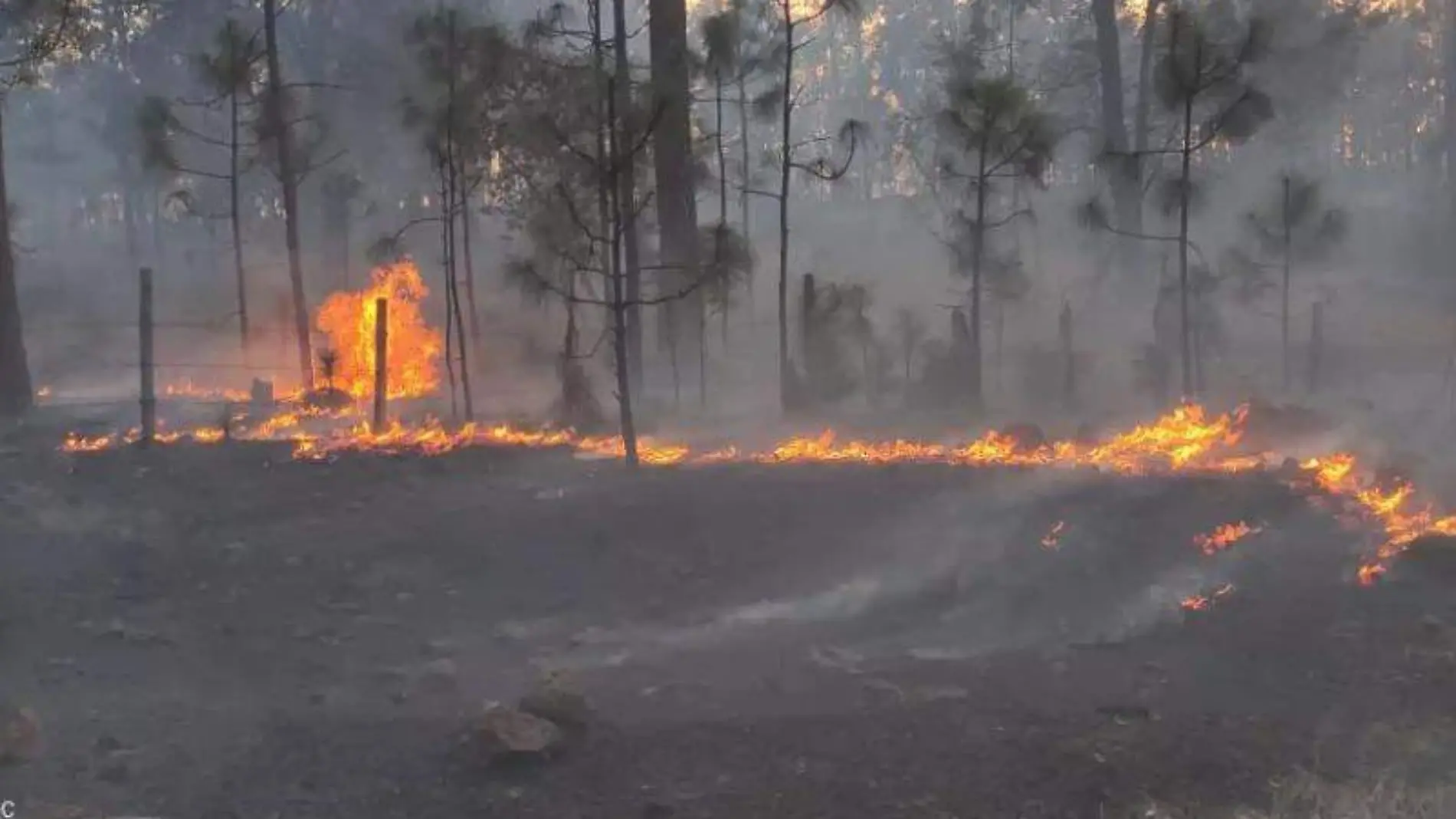 incendios cortecia proteccion civil